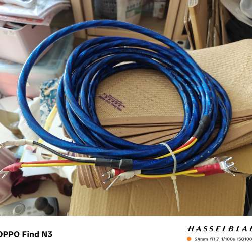 Zonotone 6NSP-6600S Meister 6NCu Silver/OFC