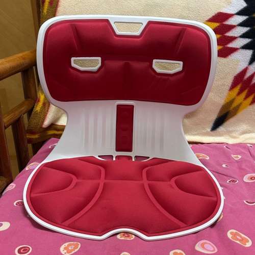 矯正坐姿椅背墊 - 韓國製造 - 灣仔地鐵站交收