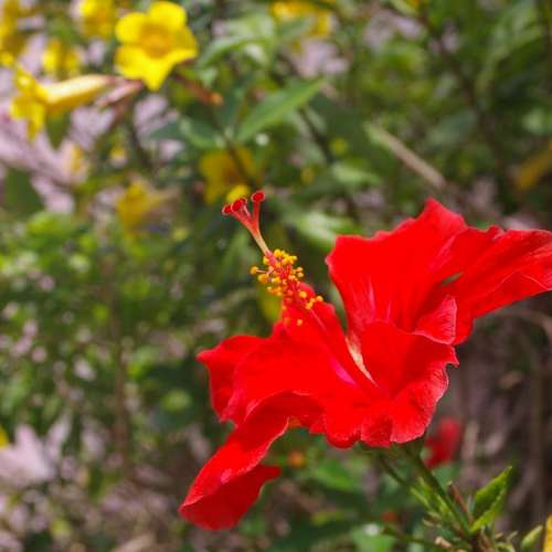 pentax 單反菲林機用 .手動.35 -105mm 3.5-4.5.微距.推拉变焦.齊焦 (parfocal) 鏡头