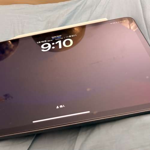 Ipad pro 11&ldquo;2018 256GB 連apple pencil