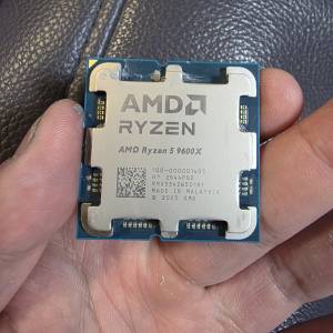 AMD Ryzen 5 9600X tray版有盒有單 3年保養 購自2025月12月