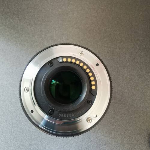 Panasonic Lumix G VARIO 45-175mm 鏡頭。