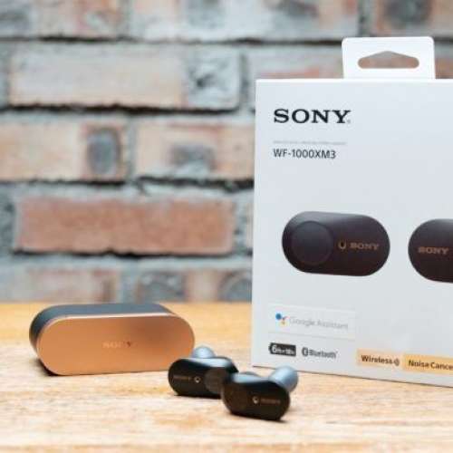Sony 真無線降噪耳機 WF-1000XM3