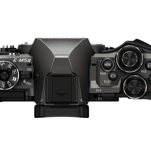 Olympus E-M5 II 二代 限量版 鈦色 M43