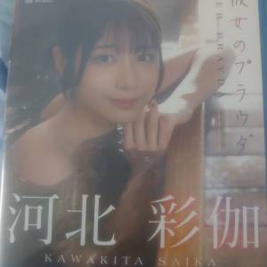 河北彩伽寫真碟（最新）