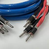 （荷蘭）G5 SIGNATURE 鍍銀喇叭線