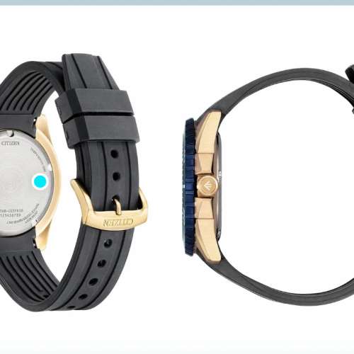 Citizen BN0196-01L 光動能錶