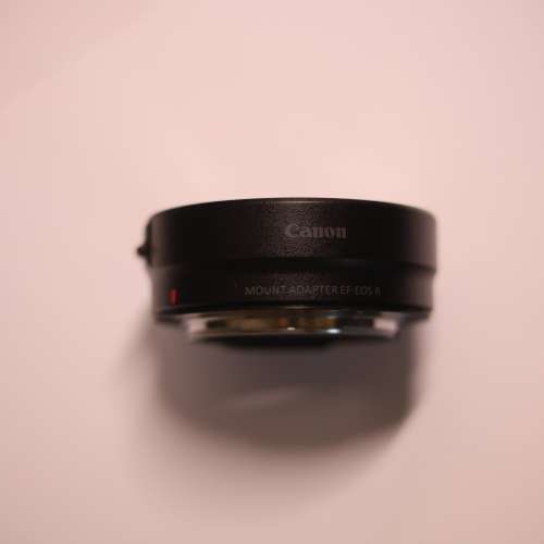 Canon EF 17-40mm f4L USM + Canon EF-EOS R