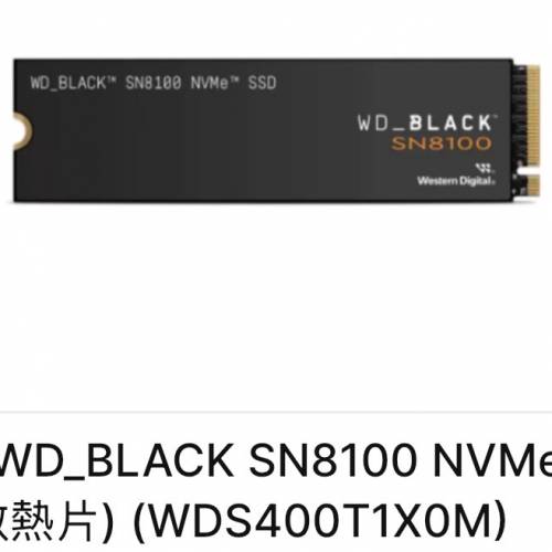 SN8100 GEN5x4 4TB