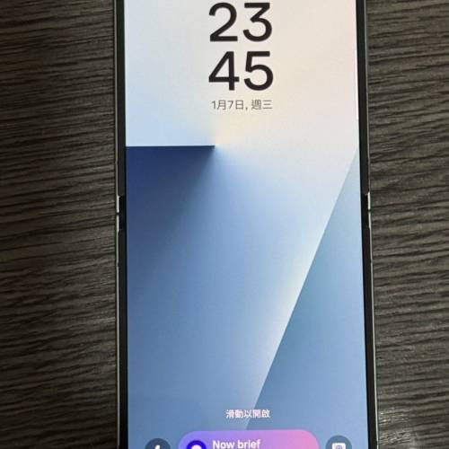 Samsung Galaxy Z Flip 7 12+256水貨