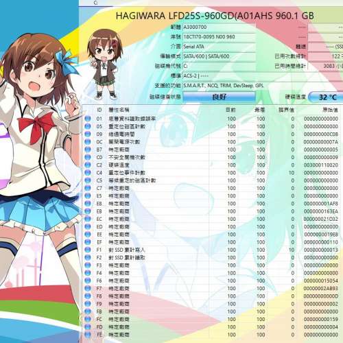 Hagiwara Solutions LFD25S-GD 960GB