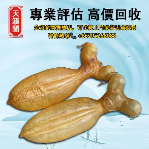 一對老蜘蛛公膠，各種乾貨 海味 補品 花膠 舊花膠 陳年花膠 老花膠，鮑魚、海參、參...