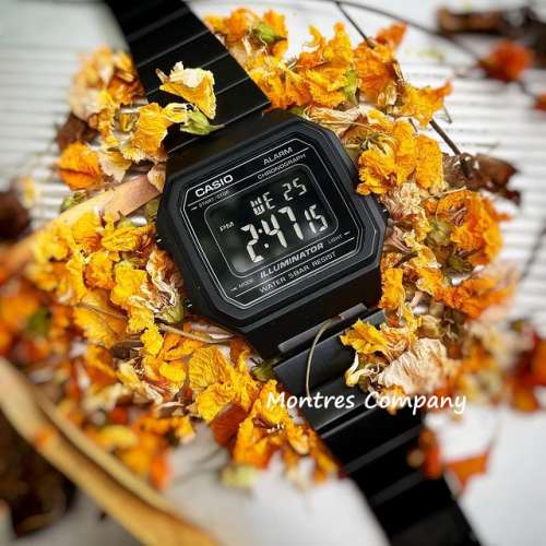 Montres Company 香港註冊公司(32年老店) 卡西歐 CASIO 七年電池壽命 不鏽鋼錶帶 ...