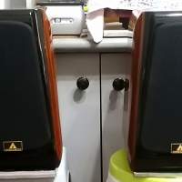 金瑯 LEISURE 2SE(香港特別版)