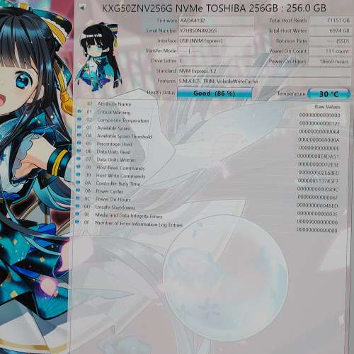 256GB NVMe SSD