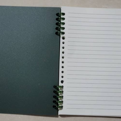 A5 20孔 深綠色活頁簿,可自
行加減紙張