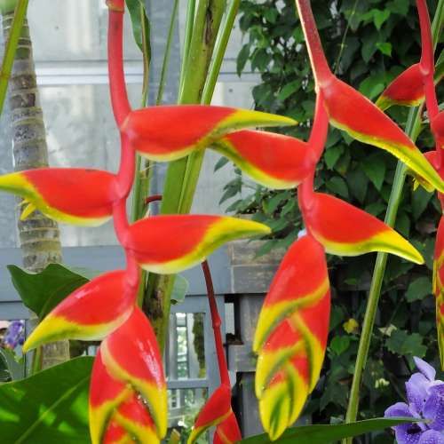 放FUJI無反機身及原廠支兩支天涯鏡由16-50mm及50-230mm鏡=$3500