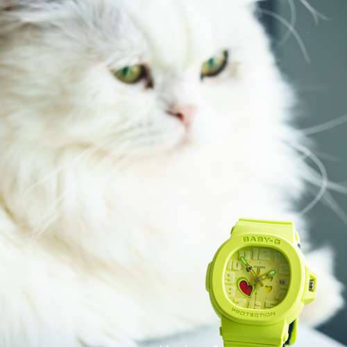 Montres Company 香港註冊公司 (32年老店) 卡西歐 CASIO BABY-G  防震 100米防水 B...