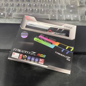 32GB x2 4000 g.skill Trident Z RGB DDR4 永久保