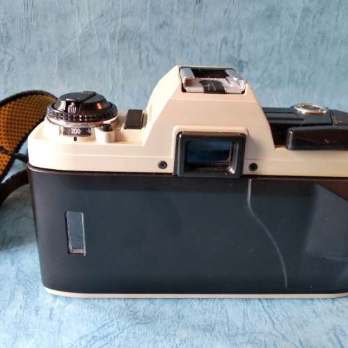 seagull df 300x 連50mm 1.8lens