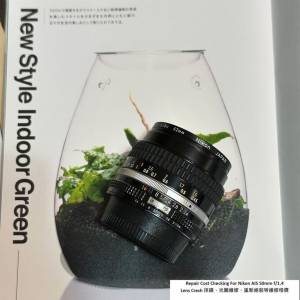 Repair Cost Checking For Nikon AI-S Nikkor 50mm F/1.4 (1981) Lens Cleaning