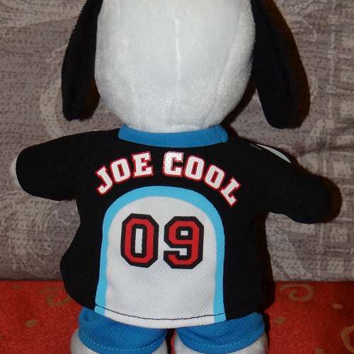 All New 10" Hallmark Joe Cool Snoopy Doll 私人收藏: 史諾比公仔