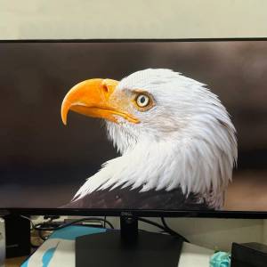 27吋顯示器  Dell SE2719HR  100%功能正常