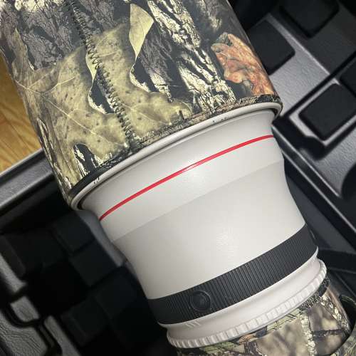 Canon EF 600mm f/4L IS II USM