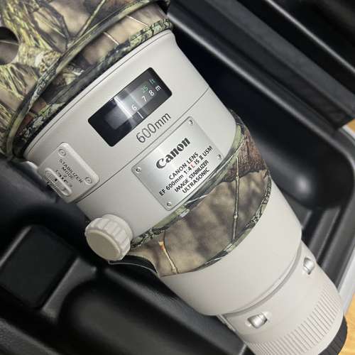 Canon EF 600mm f/4L IS II USM