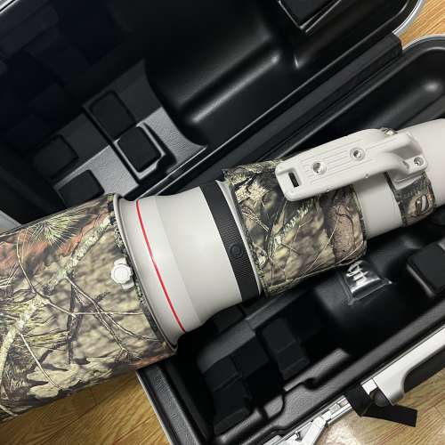 Canon EF 600mm f/4L IS II USM