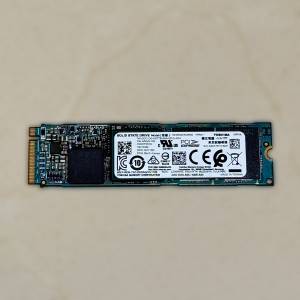 SSD Toshiba 256 GB M.2 NVMe 固態硬碟