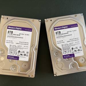出售 : 2台 WD 8TB 紫標硬碟 (共16TB)