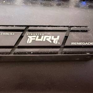 Kingston FURY Renegade PCIe 4.0 NVMe M.2 SSD 2TB