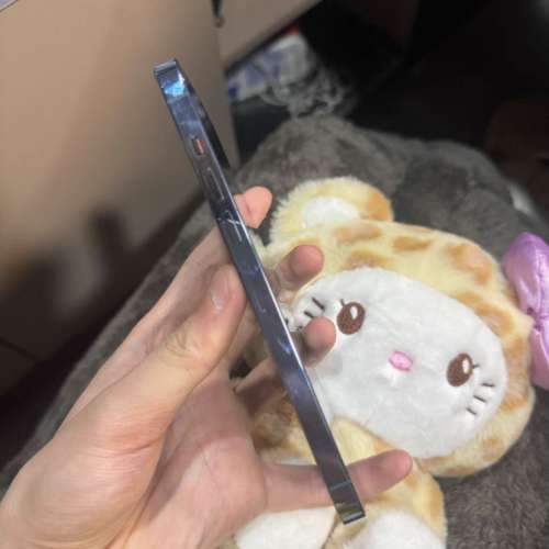 iPhone 13 pro max 1tb 雷電效能96 ％，送Magsafe Case及玻璃貼