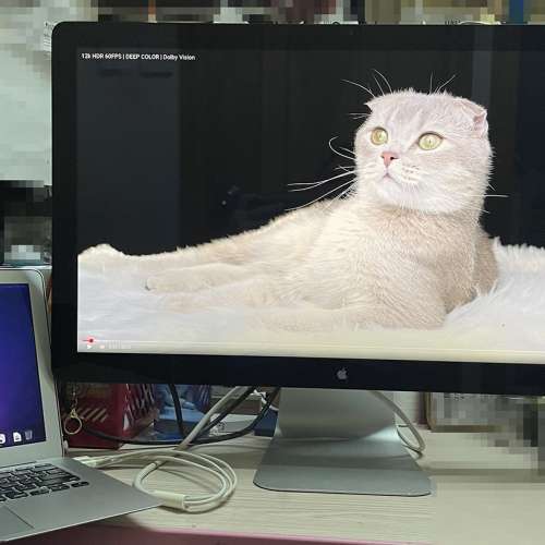 APPLE 27吋 2K LED Cinema Display 顯示器