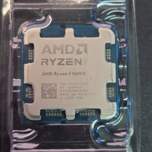 AMD 9600x tray cpu 購自2025/8/10號 有盒