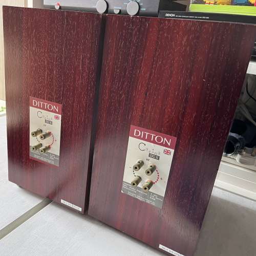 英國名廠Ditton Carina DC5 喇叭