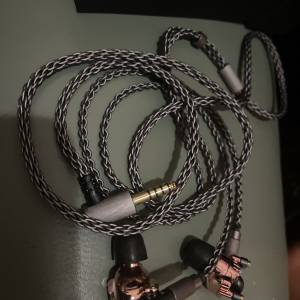 Acoustune HSX1001 & 4.4 升級線