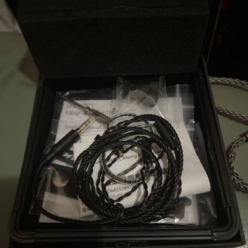 Acoustune HSX1001 & 4.4 升級線