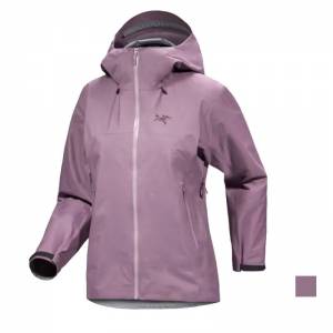 Arcteryx WS Beta SL Jacket X000009680 M 165/94A (Interstellar) 女裝防水防風透...