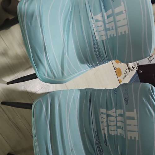 兩張現代風格餐椅 +椅套