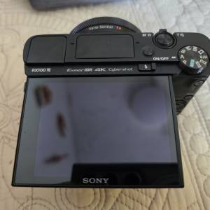 Sony RX100 m6