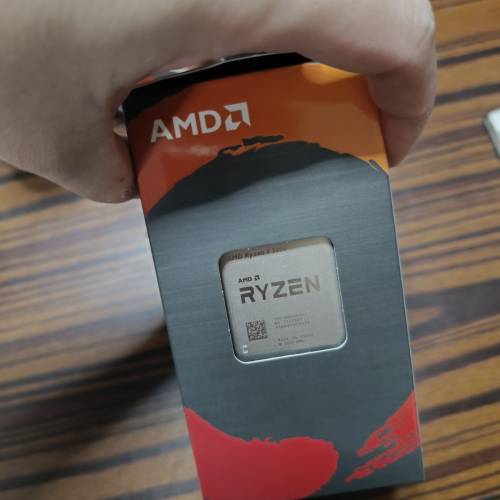 AMD R5 5600 b2步進