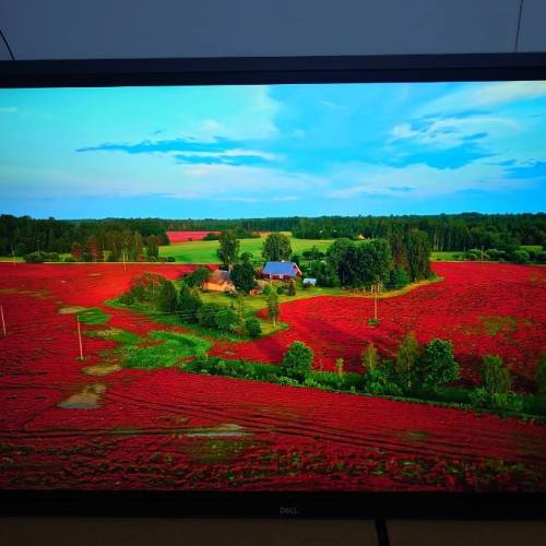 Dell 55吋 55inch C5522QT 4K Interactive Touch Monitor