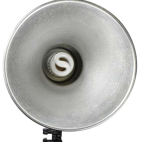 燈頭連燈罩 + 36W慳電燈泡