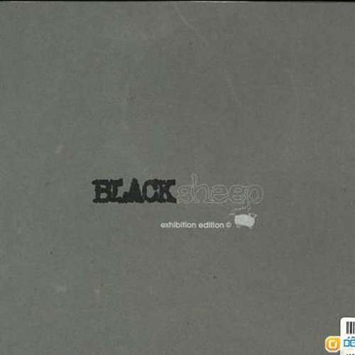 Carrie Chau, the scarf 襟章一套