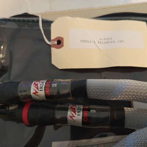 Nbs Omega 1 平衡線 95%新