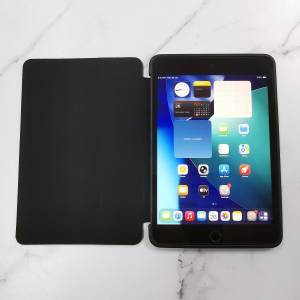 80% New Apple iPad mini 5 Wi-Fi 256GB 太空灰 Space Gray 連 全新 保護套 + 鋼化膜
