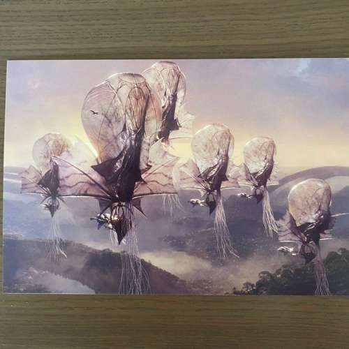 阿凡達 明信片 3張一套