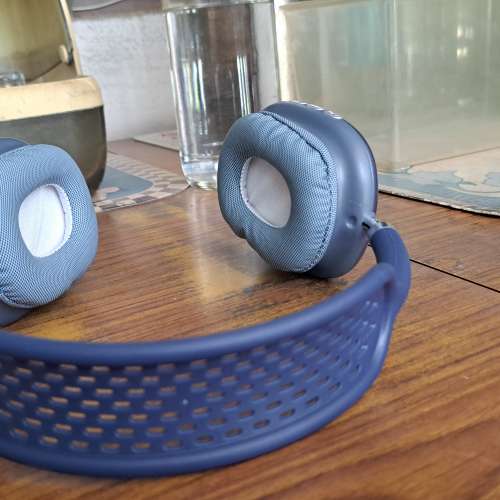 有收音机功能藍芽耳机